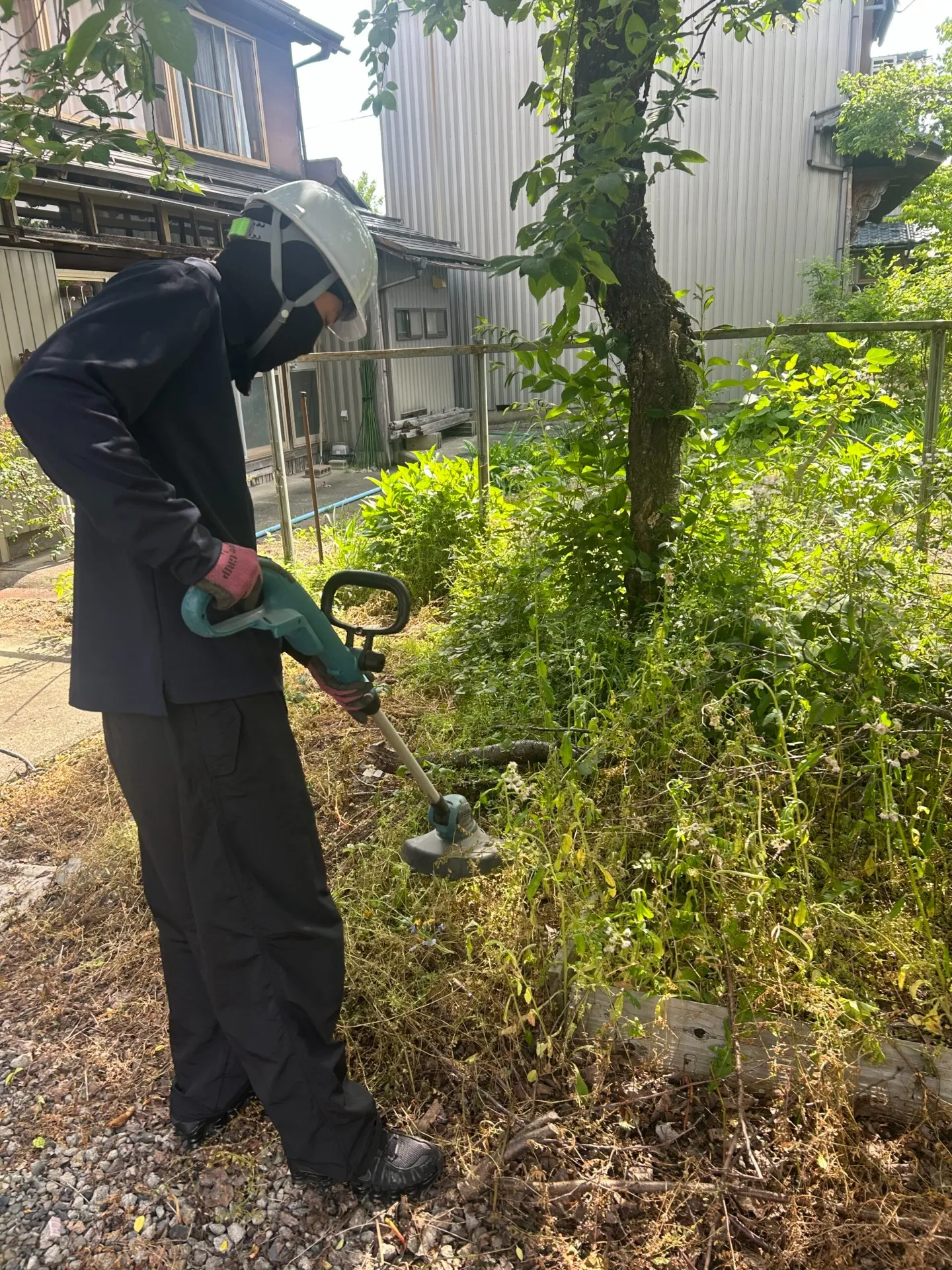 実績